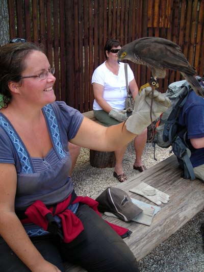 Eagle Encounters